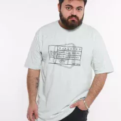 POLERA BASICA 1765 VERDE AGUA