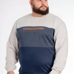 Plus Poleron Crew Front Logo Arena 0008